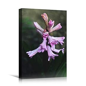 signwin Canvas Wall Art Purple Petal Close Up...