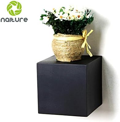Naiture 6 x 6 x 6 Inch Wall Block Shelf, Espresso