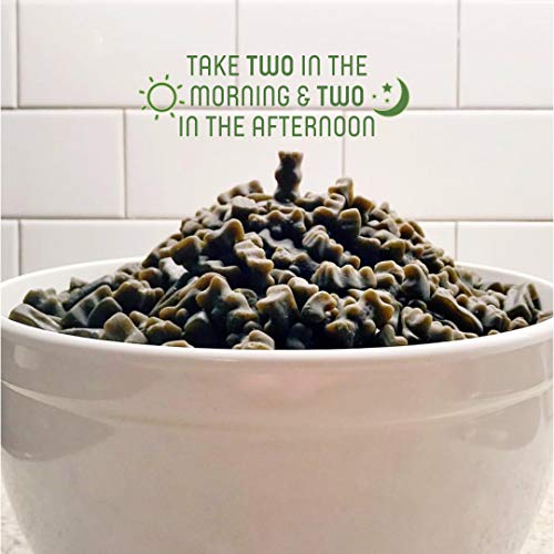 Matcha Bears Matcha Infused Gummy Vitamin & Supplement Made with