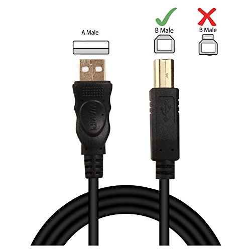 WAWPI USB 2.0 Cable - A-Male to B-Male -Printer / Scanner 10 Feet (3 Meters)