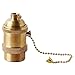 Parrot Uncle Brass Screw 110V-250V DIY Threaded Light Socket with Pull Chain Vintage Copper Lamp Holder for E26 E27 Light Bulbs, Golden Pull Chain Switch