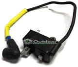 Husqvarna Line Trimmer Ignition Module Assembly 537418701 223L 223R 323R