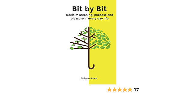 Bit By Bit Reclaim Meaning Purpose And Pleasure In Everyday Life Rowe Colleen 9780995436831 Amazon Com Books