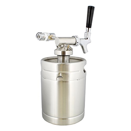 Mini Keg with Mini Keg Regulator and Beer Dispenser, 64 oz - Portable Keg Draft Beer Dispenser, Portable Beer Dispenser