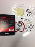 Ingersoll-Rand TUNE UP KIT FOR 2145 (IRC-2145-TK2)