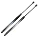 ARANA 2005-2009 Nissan Pathfinder Tailgate Shocks - Liftgate Lift Tail Gate Hatch Trunk (Pair / 2pc)