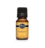Ambrosia Premium Grade Fragrance Oil - Perfume Oil - 10ml