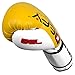 DEFY Boxing Gloves for Men & Women Training MMA Muay Thai Premium Quality Gloves for Punching Heavy Bags, Sparring, Kickboxing, Fighting Gloves Tiger Model