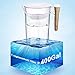 Water Filter Pitcher 10 Cup, JETERY Long-Lasting Filtered Water Pitcher with Wooden Handle, Fast Filtration with Patented ACF Military Technology, BPA Free (10 Cup)