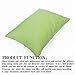 NTBAY Microfiber Toddler Pillowcases, 2 Pcs Zipper Closure Travel Pillow Covers, 13 x 18, Sage Green