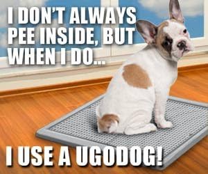 ugodog indoor dog potty