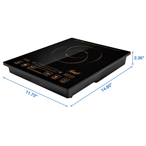 4 Rosewill+Pre+Programmed+Induction+Stainless+RHAI+16002