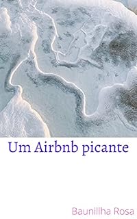 Livro Um Airbnb picante