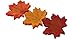 SunAngel Package of 300 Assorted Rich Fall Colored Silk Maple Leaves for Weddings, Events and Decorating