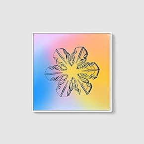 Framed Canvas Wall Art for Living Room, Bedroom Snowflake Theme Canvas Prints for Home Decoration Ready to Hang - 16x16 inches