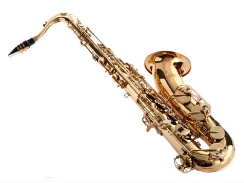 Fever Tenor Saxophone Lacquered Gold with Case, Mouthpiece and Reed, WALTER