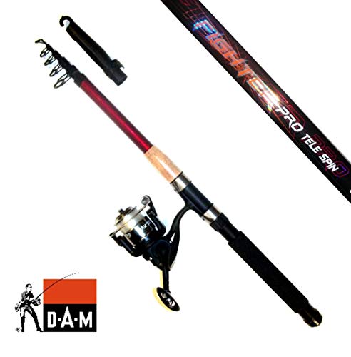 DAM SPINRUTE TELERUTE Fighter 2,70m UND Rolle SPINSET ANGELSET Komplettset