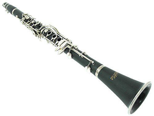 D'Luca 200NM 200 Series Ebonite 17 Keys Bb Clarinet with Double Barrel, Canvas Case, Cleaning Kit, Black