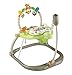 Fisher-Price Woodland Friends SpaceSaver Jumperoo