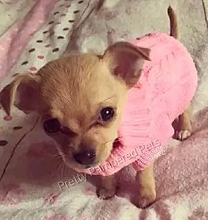 Pretty Pampered Pets Xxs Chihuahua Puppy Dog Coat Yorkie Teacup