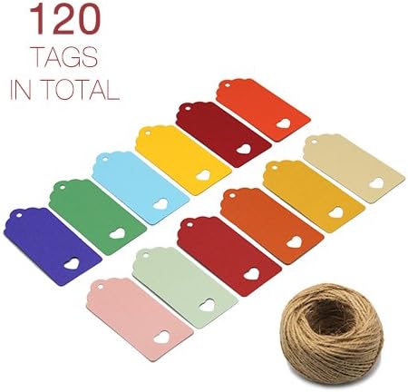 ZapFirst 120 PCs Rectangular Heart-shaped Hollow Gift Tags with Free 120 Feet Hemp Rope (Assorted colors)