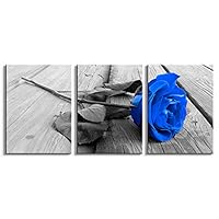 Youshion Art-Modern Canvas Painting Wall Art For living Room The Picture For Home Decoration Beautiful Blue rose flower Print On Canvas Giclee Artwork For Wall Decor 12x16Inch x3 Panels