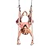 YOGABODY Yoga Trapeze (Official) with DVD, Baby Pink - Yoga Inversion Swing