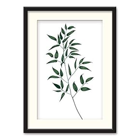 Black Framed Canvas Wall Art Nordic Style Plant Home Artwork Decoration for Living Room, Bedroom - 23x31 inches