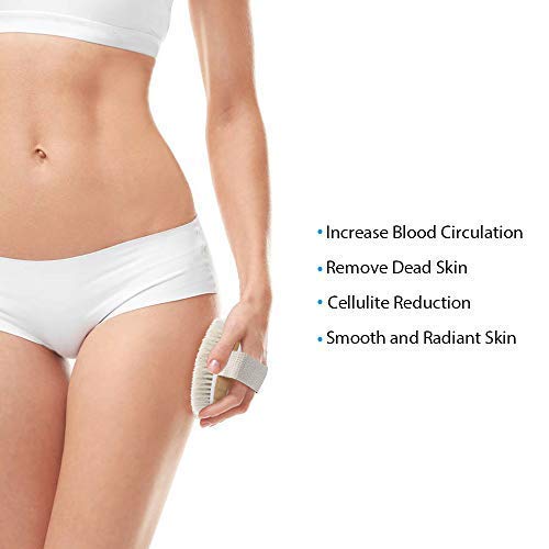 Veahom Soft Body Brush for Drying Brushing, Natural Bristle, Remove Dead Skin, Clean lymphatic system, Stimulates Blood Circulation, Dense and Soft Brush Suitable for Women and Adults Sensitive Skin