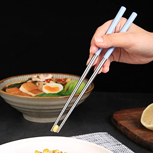 Molizummy 2 Pairs Reusable Chopsticks Metal Wheat Straw Portable with Pull Design Case, Stainless Steel Chop Sticks for Bento Box, School, Home, Office, Camping Use, Dishwasher Safe (Blue & Pink)