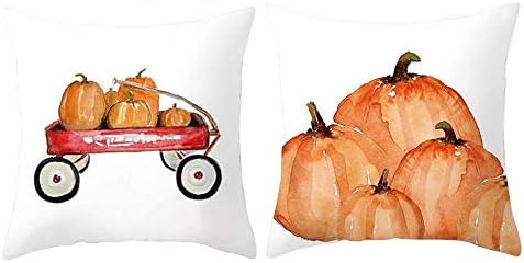 Amkun Happy Fall Yall Pumpkin Halloween Thanksgiving Cushion Cover Decoration Cotton Blend Cushion Cover (Pack of 2)