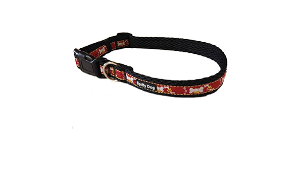 spiffy dog collar