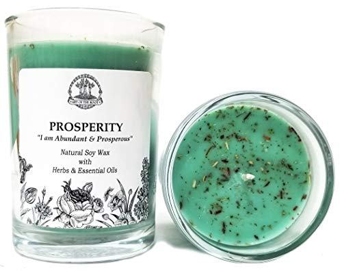 Prosperity Affirmation Candle: 8 oz Natural Soy Wax with Herbs & Essential Oils for Abundance, Good Fortune, Wealth, Money, Success, Obtaining Goals for Wiccan, Pagan & Magic Spells & Rituals