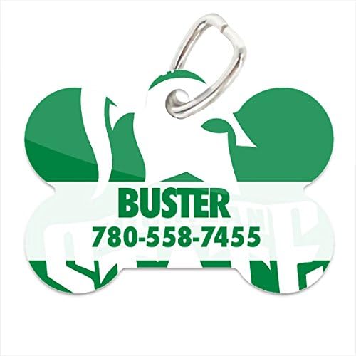 NCAA Michigan State Spartans Custom Pet ID Tag with Personalized Name &amp; Phone Number for Dogs &amp; Cats