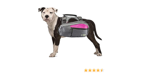 go fresh pet backpack