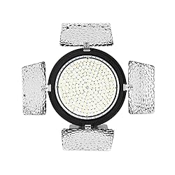 YONGNUO YN216 YN-216 LED Video Light with 5600K