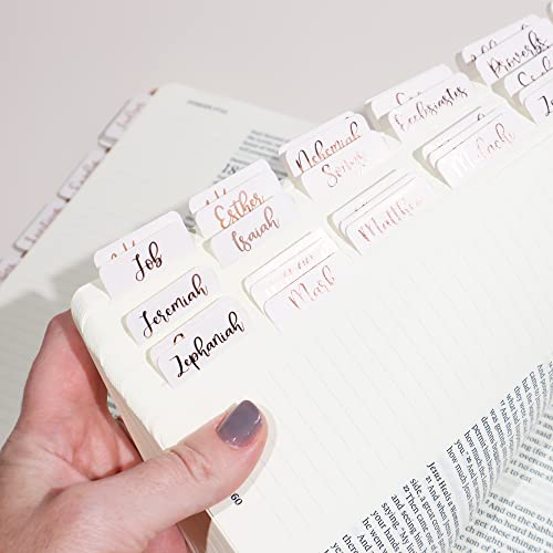 Idyllic Grace Creamsicle Bible Tabs Bronze Foil Bible
