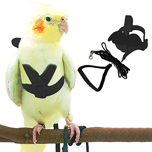 Dnoifne Parrot Bird Harness