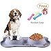 Dog Food Bowls, Stainless Steel Dog Bowls and Pet Bowls with No-Spill and Non-Skid Mat Feeder Bowls Suittable for Dogs Cats and Pets