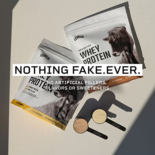 Levels Grass Fed 100 Whey Protein, No Hormones, Vanilla Bean, 1LB