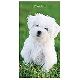 2020-2021 Puppies 2-Year Small Pocket Planner Calendar by 