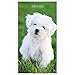 2020-2021 Puppies 2-Year Small Pocket Planner Calendar by 