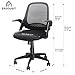 Ergousit Mid-Back Mesh Office Chair, Ergonomic Desk Chairs Swivel Computer Task Chairs with Adjustable Height and Flip-up Armrest - Lumbar Support and Sponge Cushion in Black (Black)