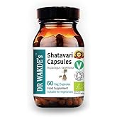 DR WAKDE'S Shatavari Capsules (Asparagus racemosa) | 60 Veg Caps | Ayurvedic Supplement | Vegan | 100% Herbal I All Natural