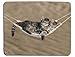 Cute tabby kittens sleeping in a hammock Mouse Pad, Mousepad (Cats Mouse Pad)