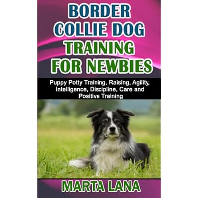 border collie potty training