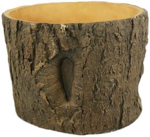 Cactus Plant Bonsai Tree Pot and Planter Tree Finishing Pagoda