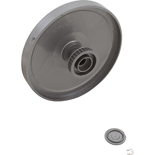 Zodiac R0615700 Wheel Double Side Silver