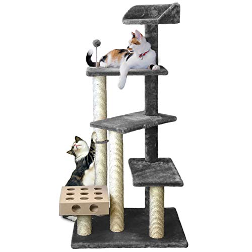 Cat Stairs & Ramps