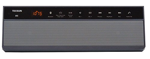 Tecsun B-5 Wireless Bluetooth Speaker with Digtial FM Radio and MP3 Player - Black